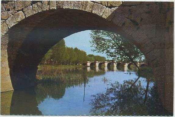 POSTAL DE PALENCIA. PUENTE MAYOR VISTO DESDE EL PUENTECILLAS Nº 170