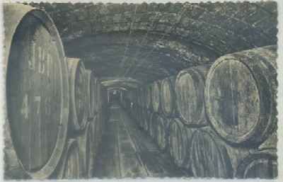 POSTAL ANTIGUA DE BARCELONA. CASA CODORNIU. SAN SADURNI DE NOYA. Nº 6. VINOS CRIANZA