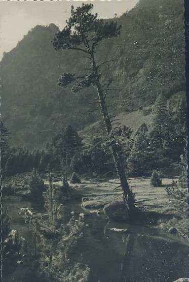 POSTAL VALLE DE BOHI LERIDA BOSQUE Y LEYENDA SOBRE AGUAS TRANQUILAS