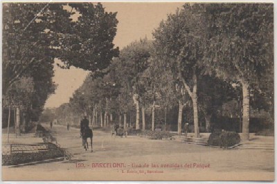 POSTAL DE BARCELONA. UNA DE LAS AVENIDAS DEL PARQUE