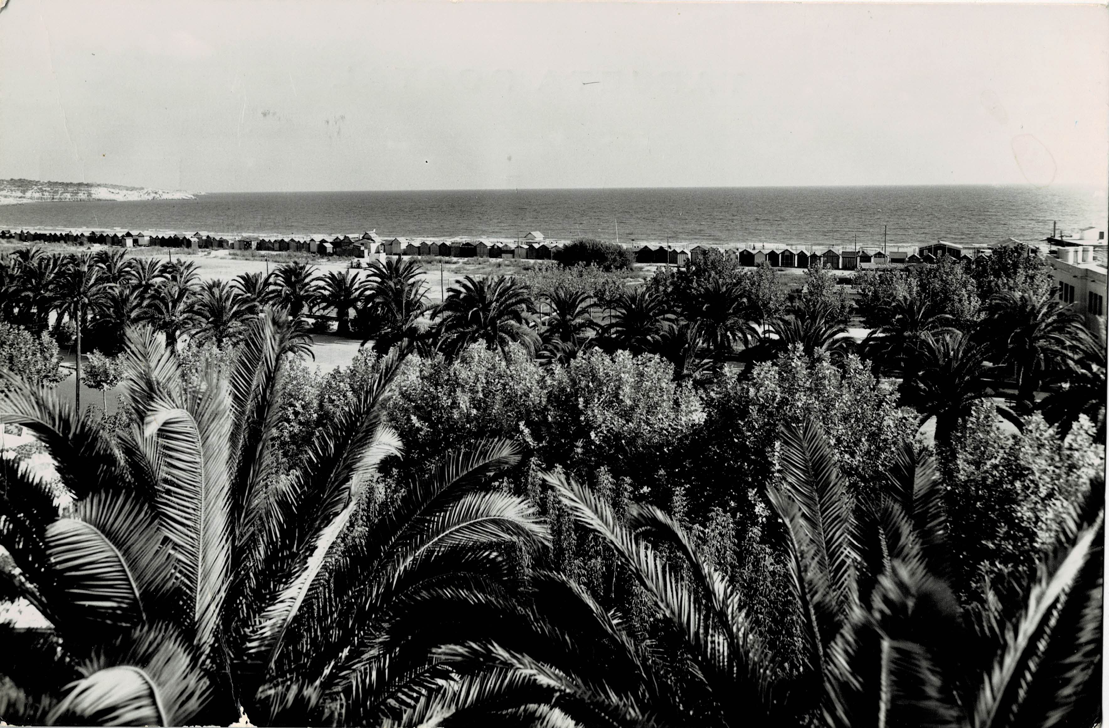 POSTAL MODERNA DE CATALUÑA. SALOU. VISTA PARCIAL