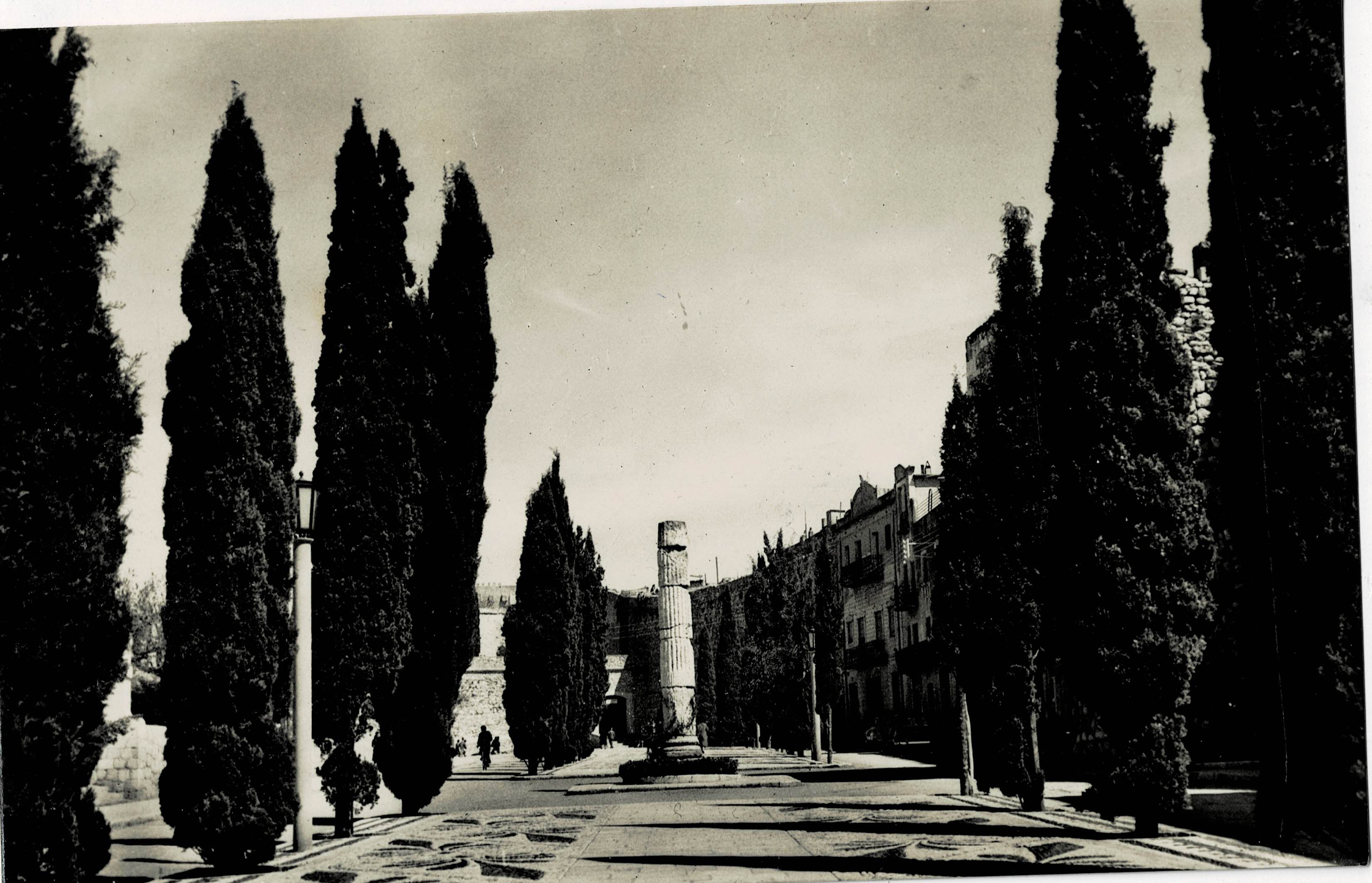 POSTAL MODERNA DE CATALUÑA. TARRAGONA. PASEO DE LOS CIPRESES Y COLUMNA ROMANA
