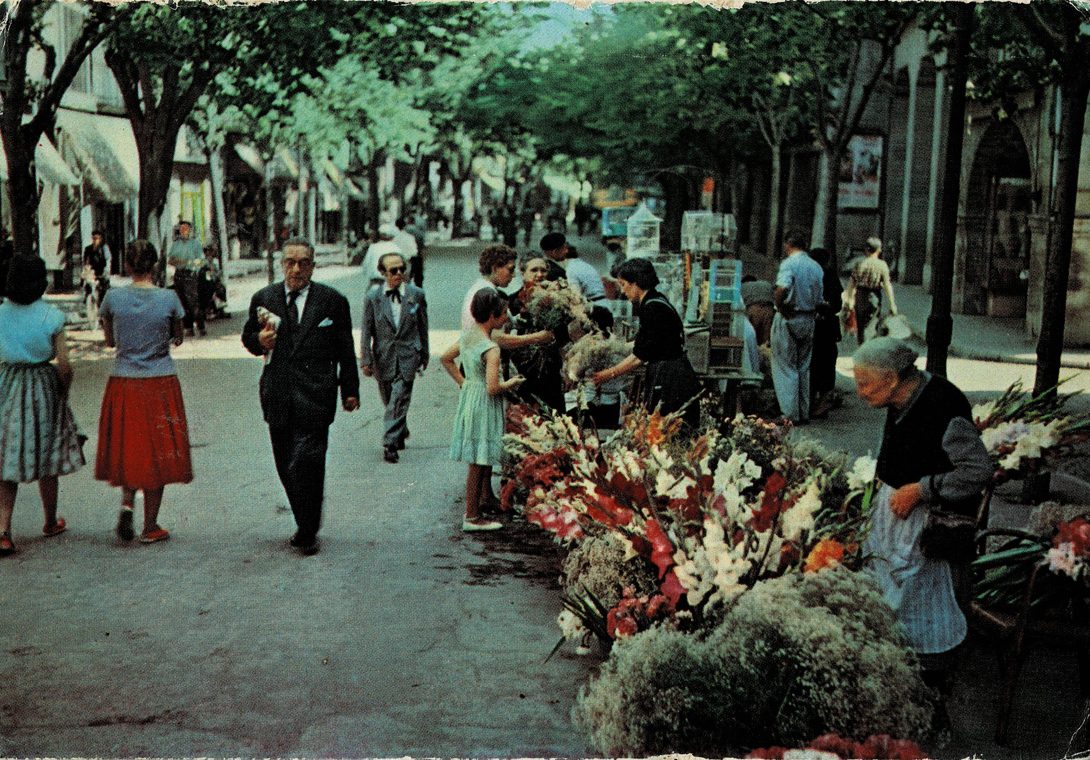 POSTAL MODERNA DE CATALUÑA. GERONA. LA RAMBLA