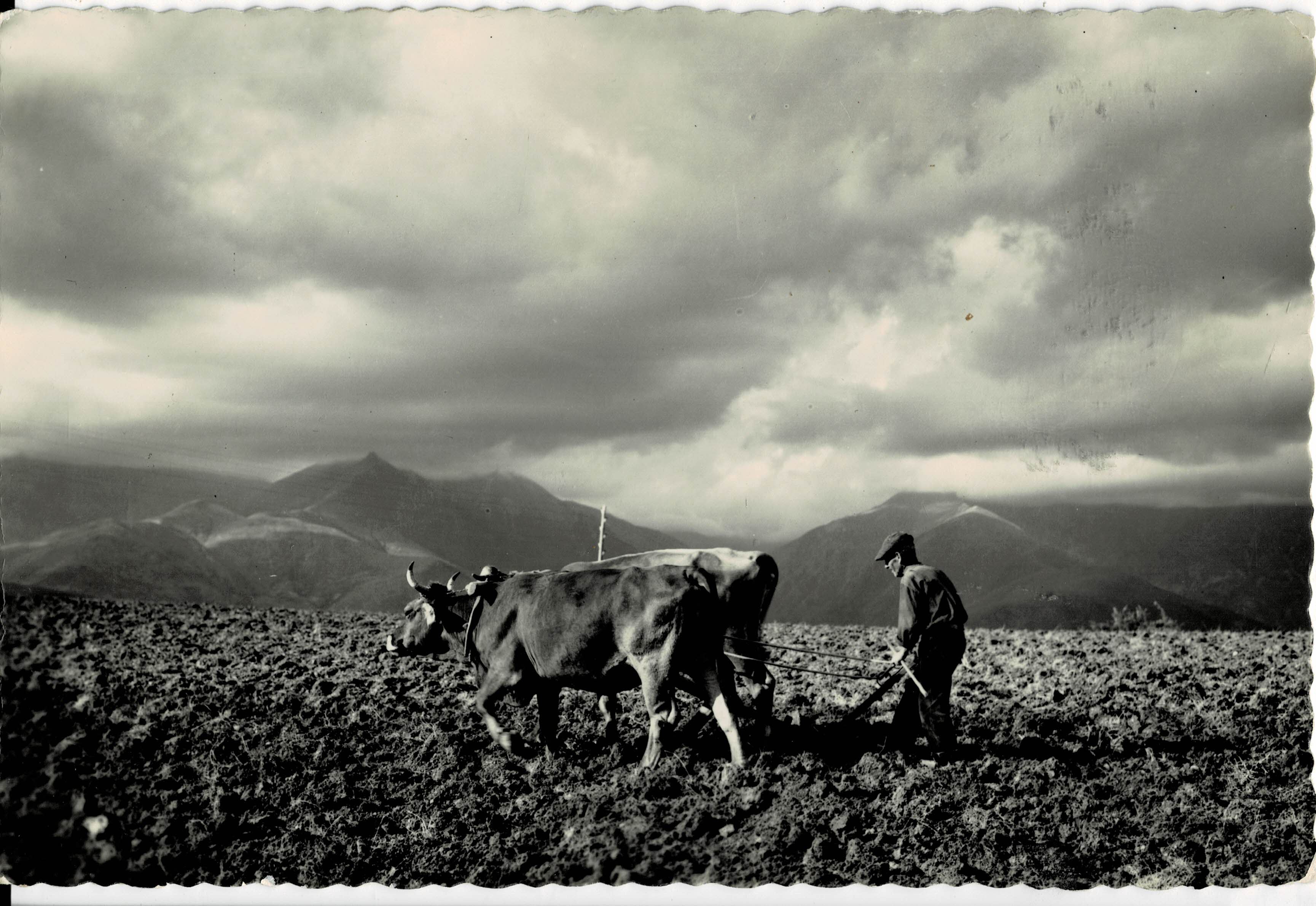 POSTAL MODERNA DE CATALUÑA. PALLARS. ARANDO EN LA CREU DE PERBES