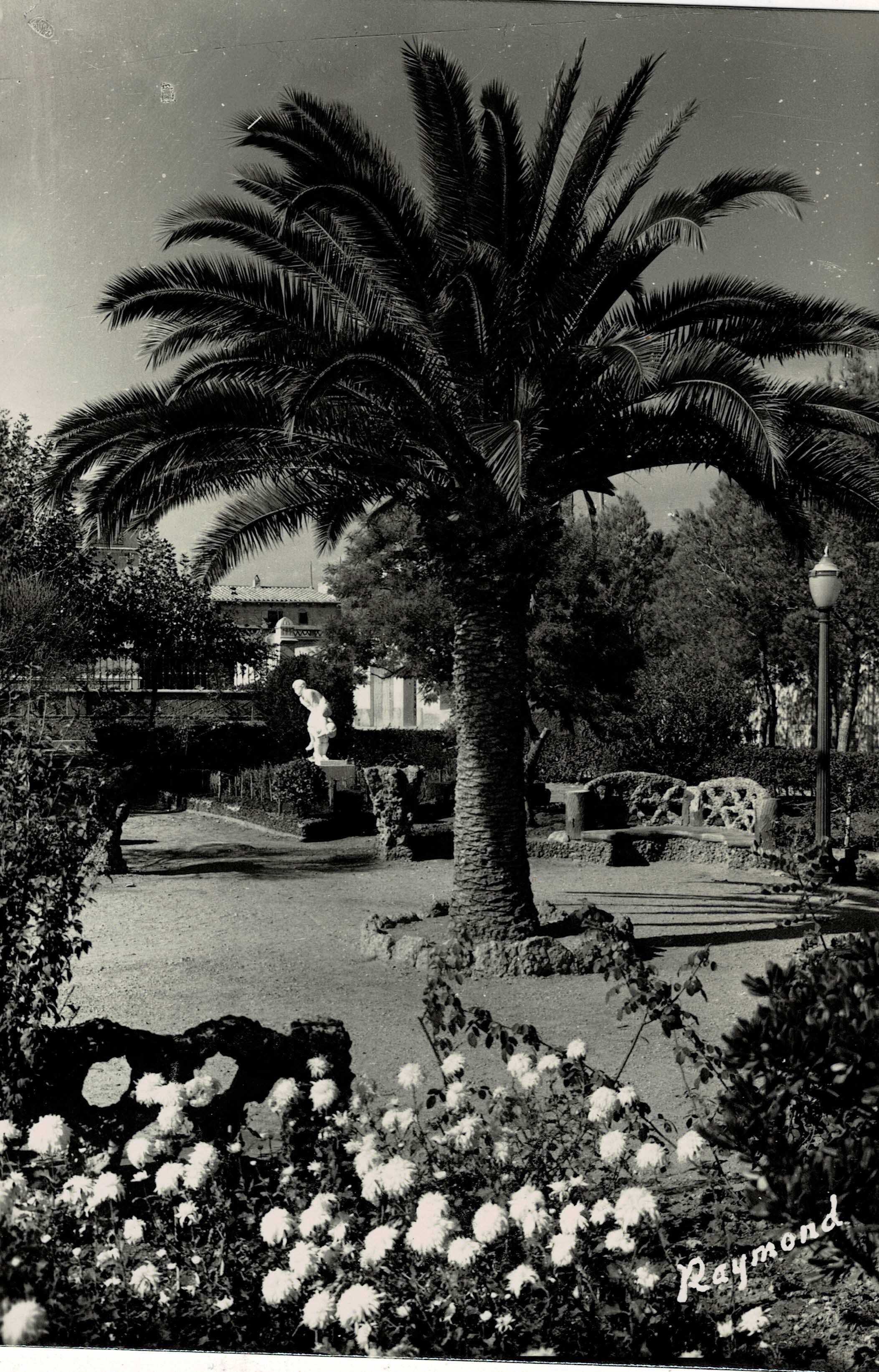 POSTAL MODERNA DE CATALUÑA. AMPOSTA. DETALLE DEL JARDIN PUBLICO