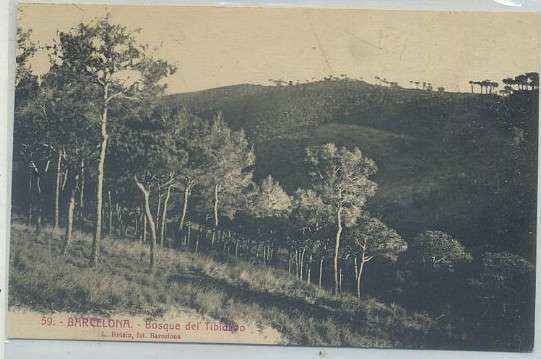 POSTAL ANTIGUA DE BARCELONA. BOSQUE DEL TIBIDABO Nº 59