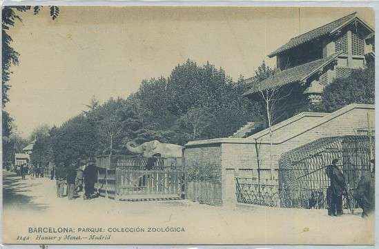 POSTAL ANTIGUA DE BARCELONA. PARQUE. COLECCIÓN ZOOLOGICA Nº 1142