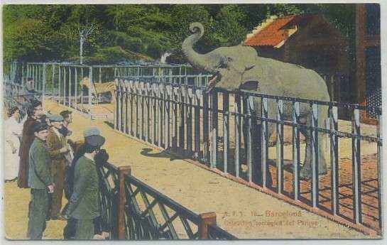 POSTAL ANTIGUA DE BARCELONA. ZOOLOGICO DEL PARQUE A. T. V. Nº 16
