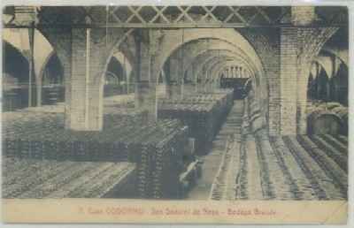 POSTAL ANTIGUA DE BARCELONA. CASA CODORNIU. SAN SADURNI DE NOYA. BODEGA GRANDE