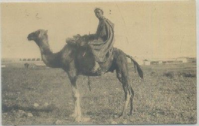 POSTAL DE MELILLA. TIPOS Y COSTUMBRES RIFEÑAS. CAMELLERO DE BENI BU JAHI