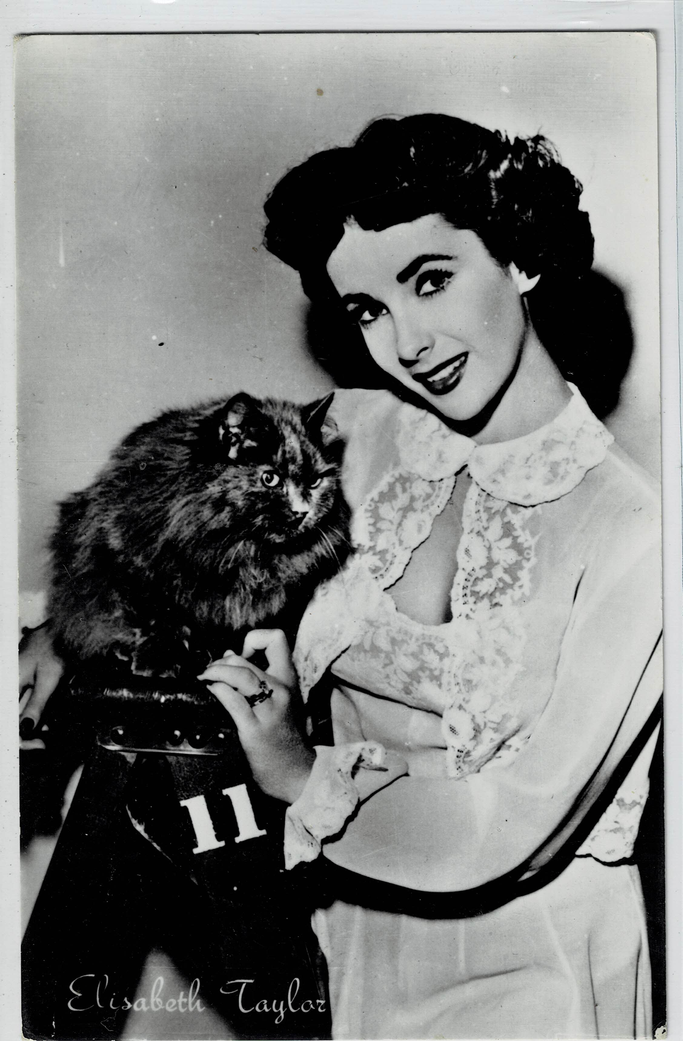 POSTAL DE CINE: DE ELISABETH TAYLOR.