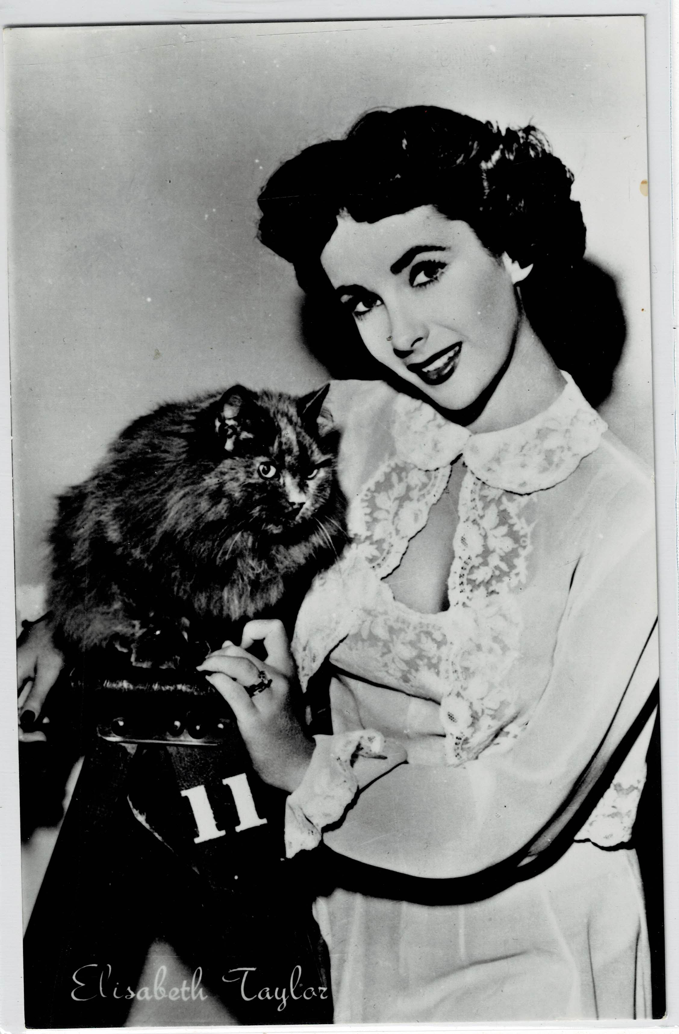 POSTAL DE CINE: DE ELISABETH TAYLOR.