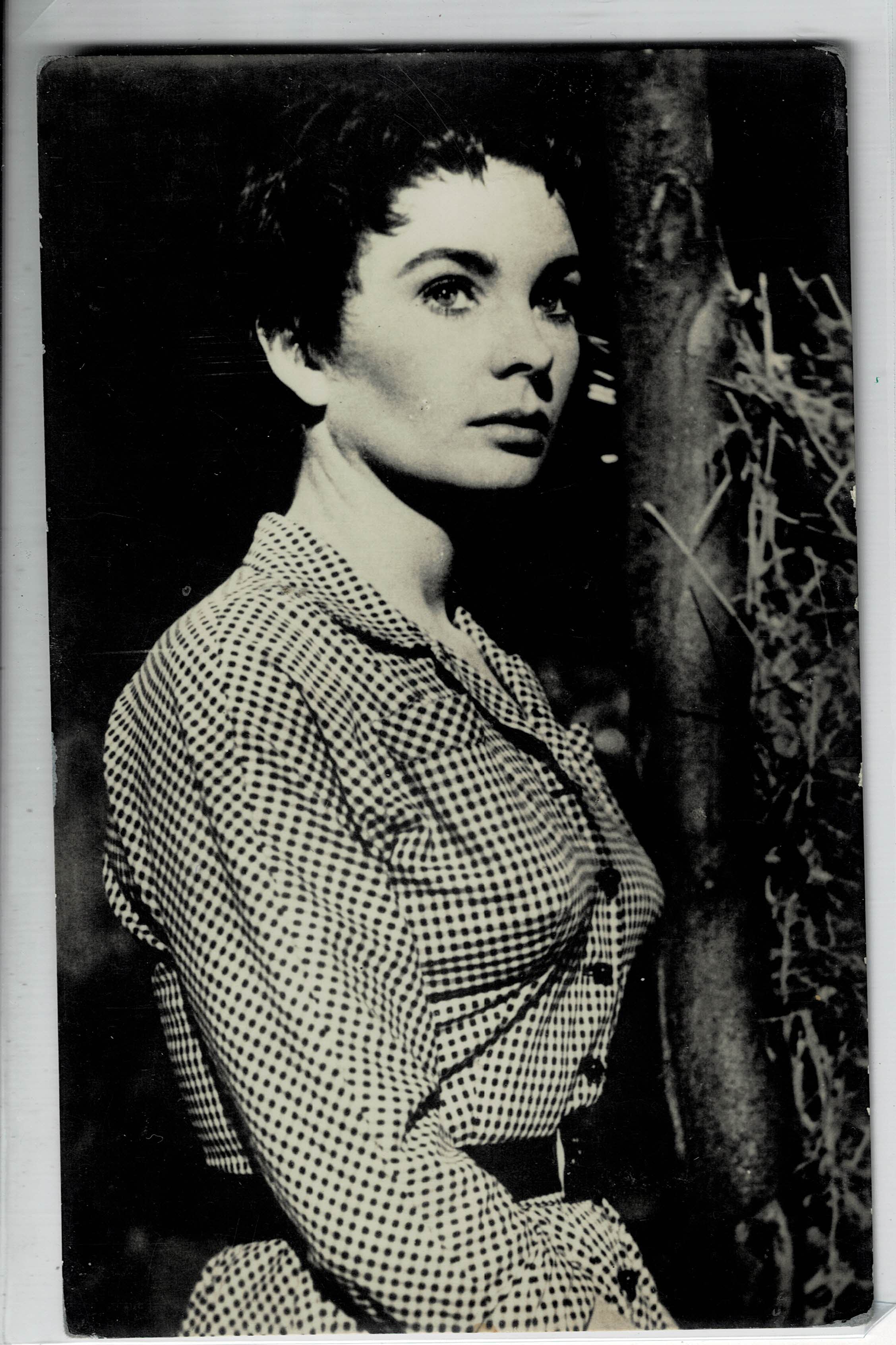 POSTAL DE CINE Nº 2643: DE JEAN SIMMONS