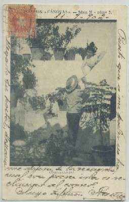 POSTAL COSTUMBRISTA. CORTEJANDO. COL. CANOVAS SERIE N Nº 5