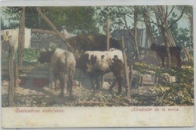 POSTAL ETNICA. COSTUMBRES ANDALUZAS. ALREDEDOR DE LA NORIA
