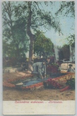 POSTAL ETNICA. COSTUMBRES ANDALUZAS. HORTELANOS Nº 136