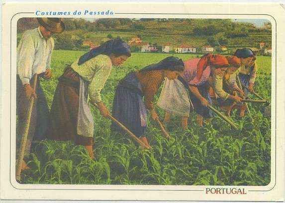 POSTAL DE PORTUGAL. COSTUMES DE PASSADO. SACHANDO O MILHO Nº 32