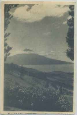 POSTAL DE PORTUGAL. FAVAL