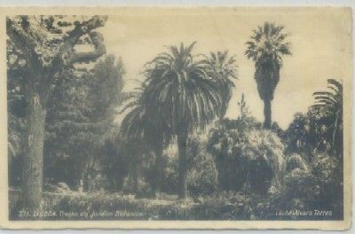 POSTAL DE PORTUGAL. LISBOA. TRECHO DO JARDIM BOTANICO Nº 271