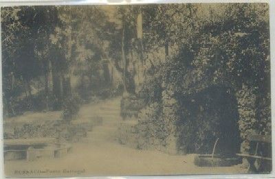 POSTAL DE PORTUGAL. BUSSACO. FONTE CARREGAL