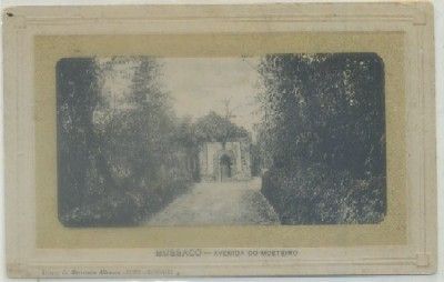 POSTAL DE PORTUGAL. BUSSACO. AVENIDAD DO MOSTEIRO