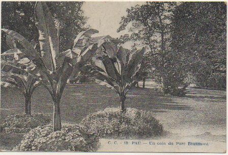 POSTAL DE FRANCIA. C. C. 13 PAU. UN COIN DU PARC BEAUMONT