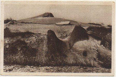 POSTAL DE FRANCIA. FORT DE VAUX