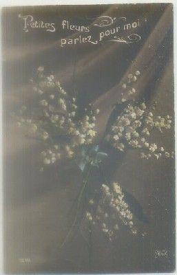 POSTAL DE FELICITACION. PETITE FLEURS PARLEZ POUR MOI
