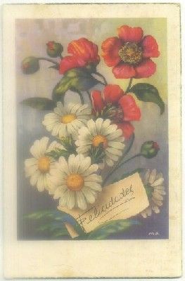 POSTAL DE FELICITACION. FELICIDADES