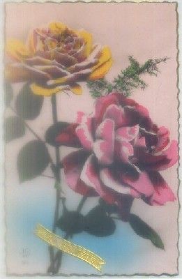 POSTAL DE FELICITACION. BONNE FETE