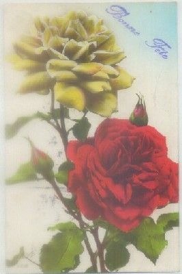 POSTAL DE FELICITACION. BONNE FETE