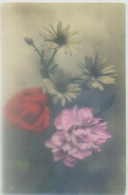 POSTAL DE FLORES.