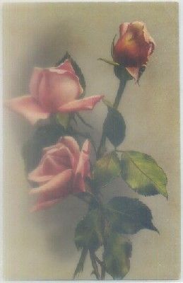 POSTAL DE FLORES.