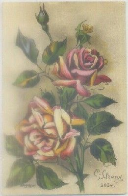 POSTAL DE FLORES.