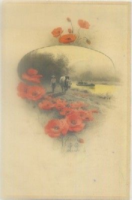 POSTAL DE FLORES.