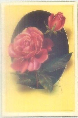 POSTAL DE FLORES.