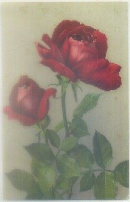 POSTAL DE FLORES. SERIE 210