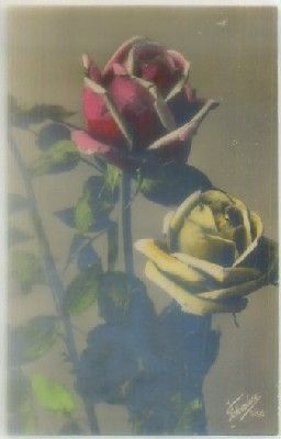 POSTAL DE FLORES.