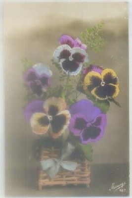 POSTAL DE FLORES.