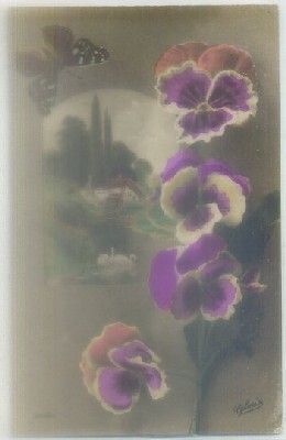 POSTAL DE FLORES.
