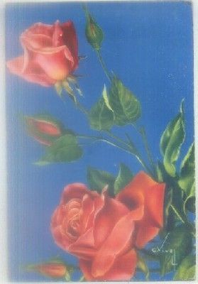 POSTAL DE FLORES.