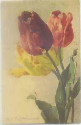 POSTAL DE FLORES.