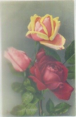 POSTAL DE FLORES.