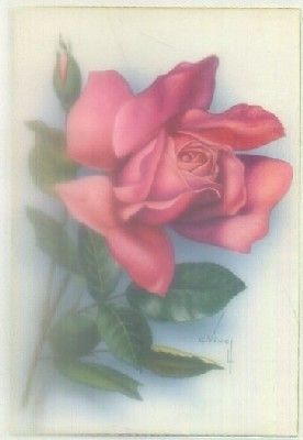 POSTAL DE FLORES.