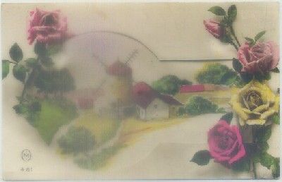 POSTAL DE FLORES.