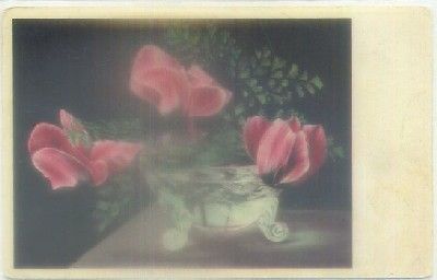 POSTAL DE FLORES.
