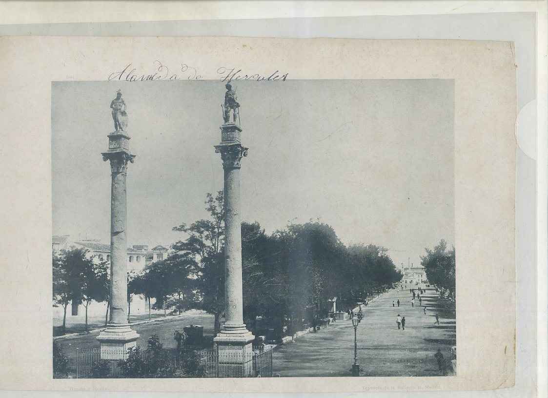 FOTOTIPIA DE SEVILLA. ALAMEDA DE HERCULES. AÑO 1890-1900 APROX.