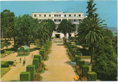 POSTAL DE LA TOJA. JARDINES Y GRAN HOTEL