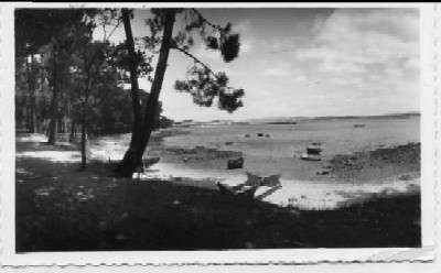 POSTAL DE GALICIA - LA TOJA PONTEVEDRA Nº 116 PLAYA