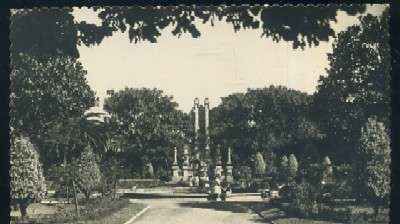 POSTAL DE LA CORUÑA Nº 14 JARDINES MONUMENTO A CONCEPCION ARENAL